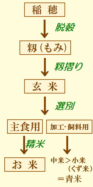 お米になるまでの段階図