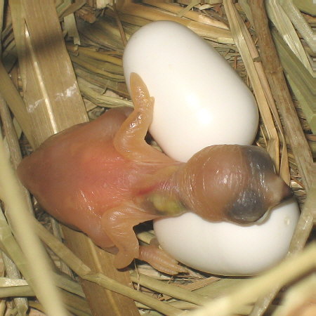 ３日目夜の「テン」